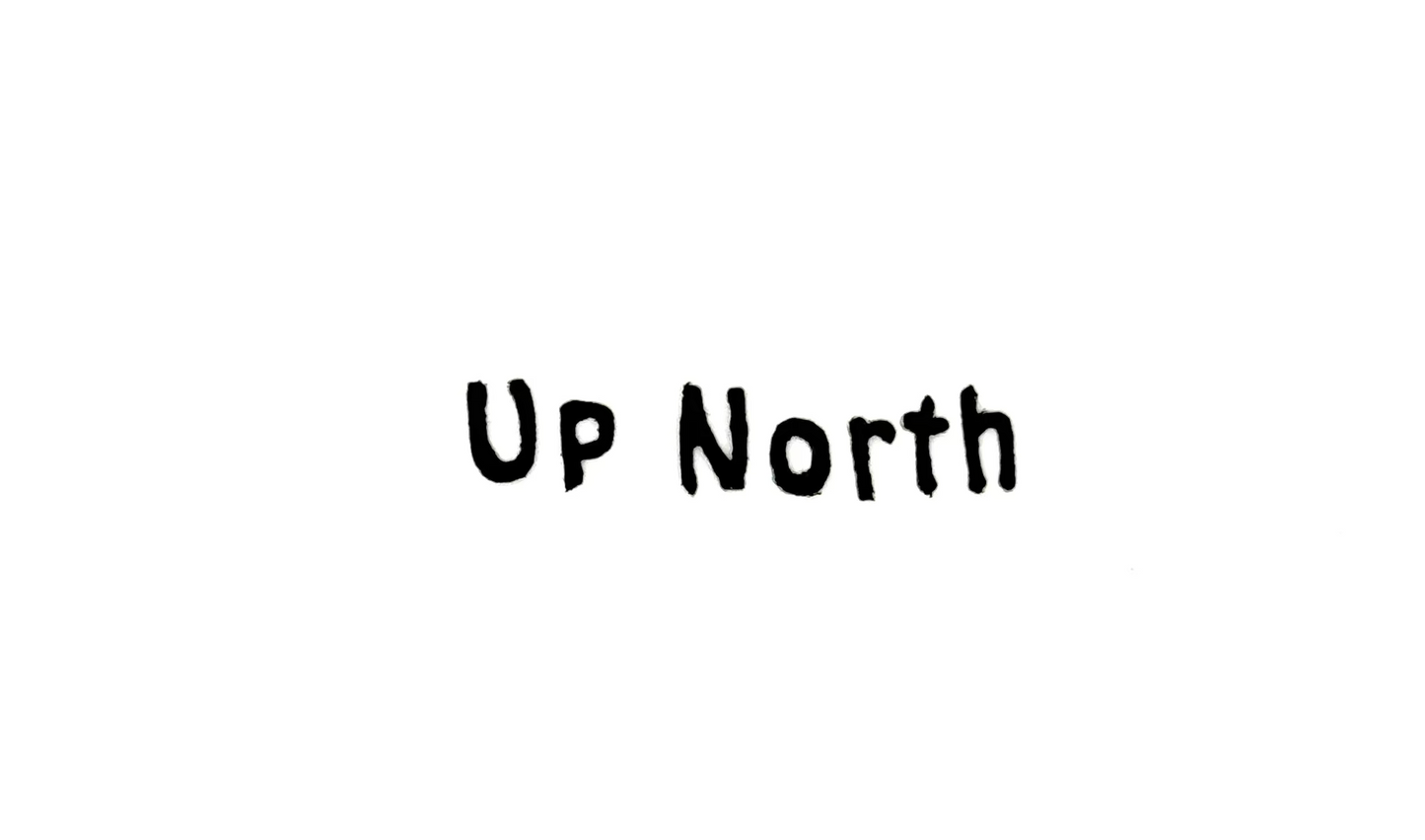 The Word “Up North” Embroidered Iron on Appliqué - 2.5” .5”