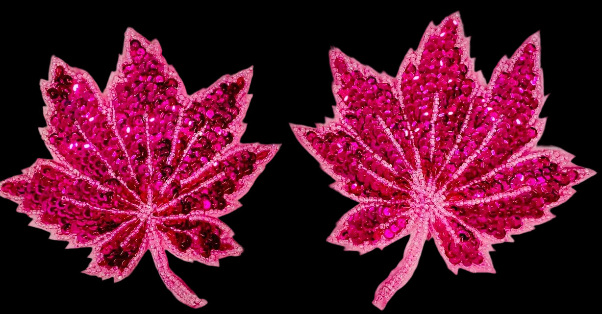 Par de flores con lentejuelas fucsia brillantes y cuentas de 5.5"