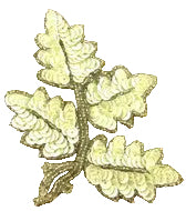 Leaf with China White Sequins/silver Beads 5" x 4"