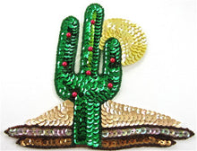 Load image into Gallery viewer, Cactus with Sun and Sand 5.5&quot; x 6&quot;