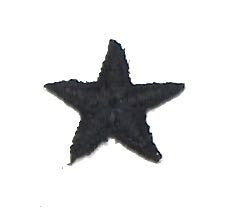 Star Black Embroidered Iron-On .75"