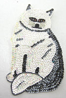 Cat with White and Grey Sequins 7.5