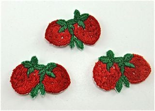 Embroidered Appliques