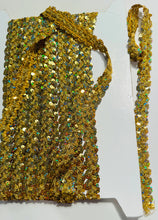 Load image into Gallery viewer, Bullion Trim Gold Interwoven with Sequins and Gold Thread 7/8&quot;