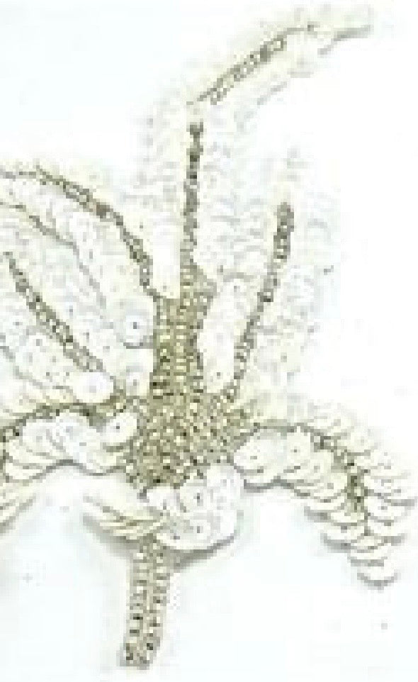 Leaf Choice of Pairs or Singles with China White Sequins and Silver Beads 6.25” x 4”