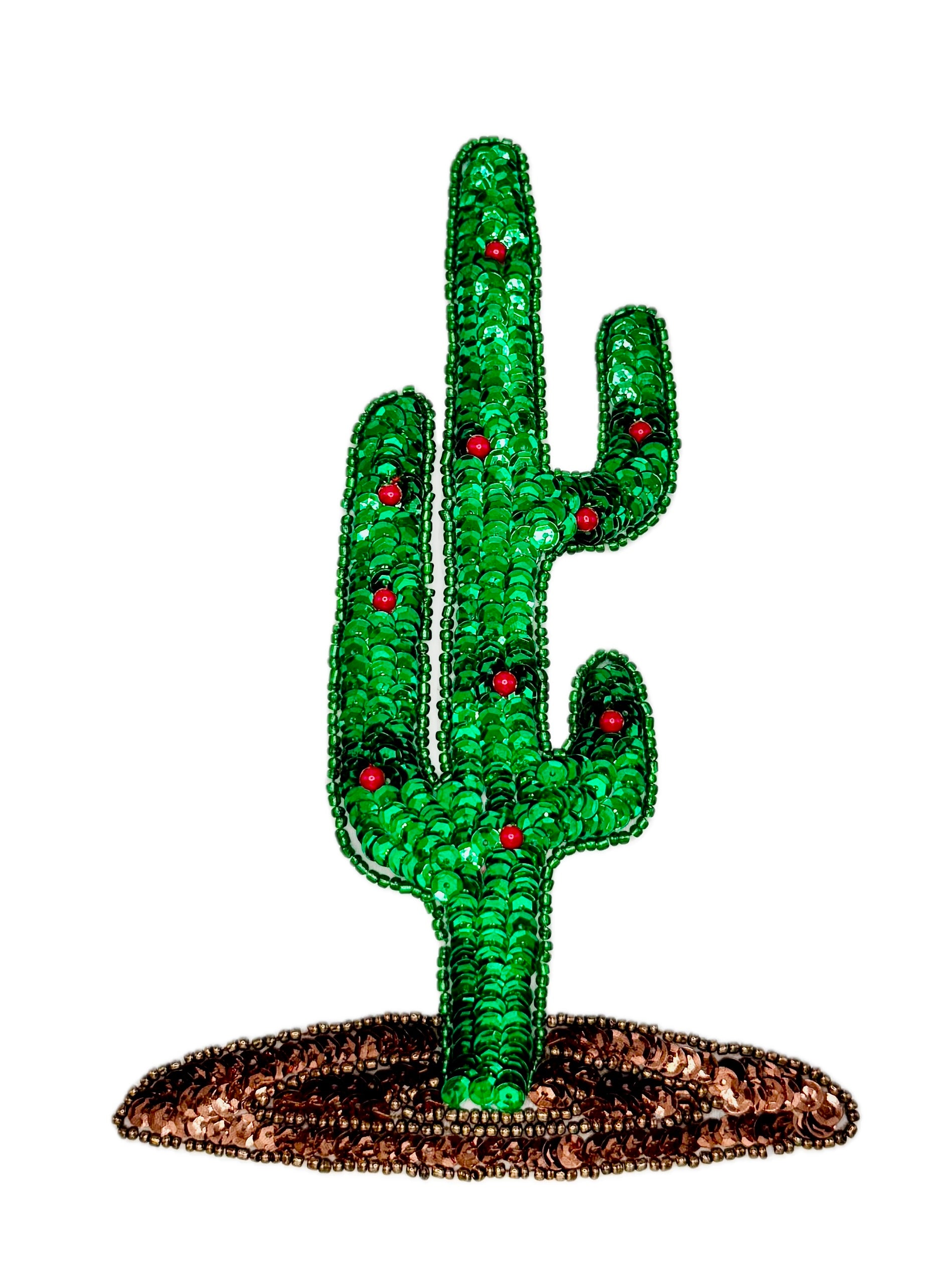 Green cactus with red berries on a white background