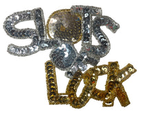 Load image into Gallery viewer, &quot;Slots of Luck&quot; Phrase Applique 3.5&quot; x 4.25&quot;