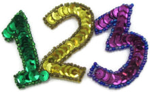 Load image into Gallery viewer, Sequin Beaded Attached Multi-colored Numbers 123 - 3&quot; x 2&quot;