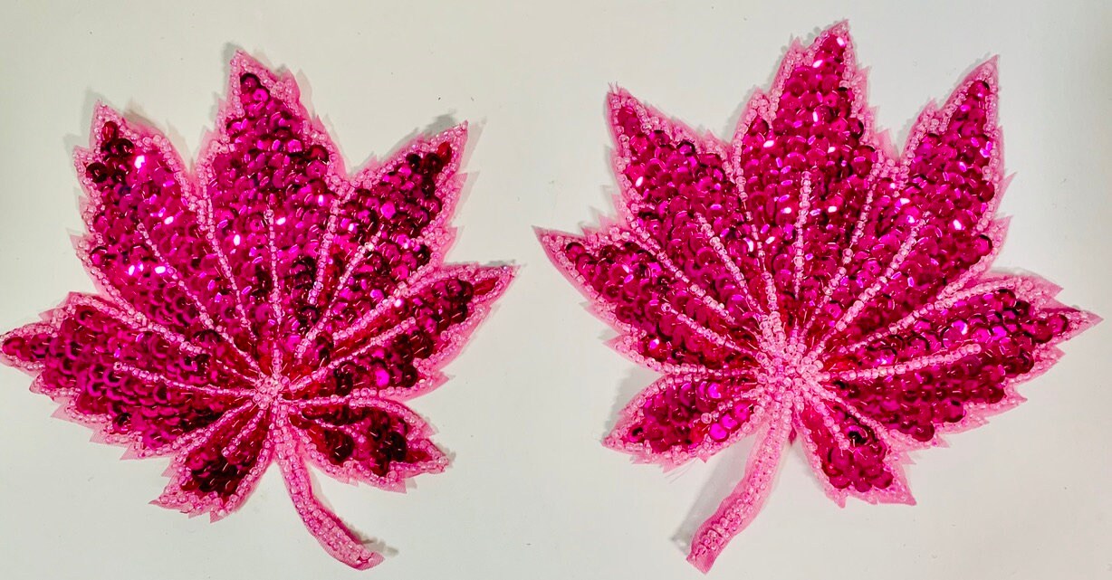 Flower Pair with Brilliant Fuchsia Sequins and Beads 5.5"