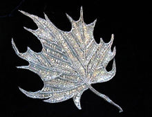 Load image into Gallery viewer, Leaf with Crystal Iridescent Sequins and Beads 8&quot; x 6&quot;