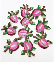 Cherries Embriodered Appliques Set of 10- 2