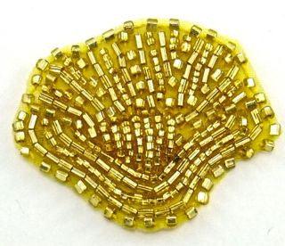 Sea Shell with Gold Beads 2" x 1.5"