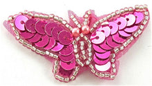 Load image into Gallery viewer, Butterfly Fuchsia 1&quot; x 2&quot;