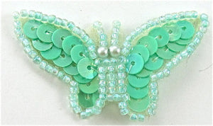 Butterfly Mint Green 1" x 2"