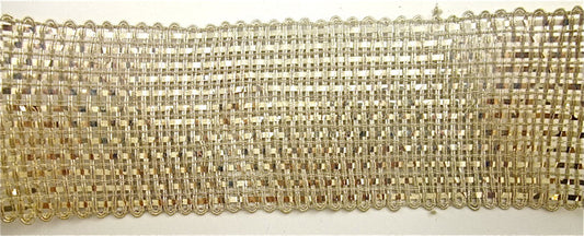 Trim with Silver Mesh Bullion Thread 2.5" Wide - Sold by the Yard