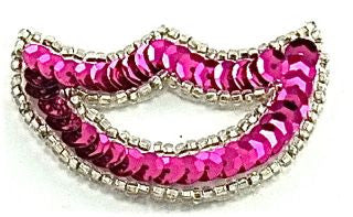 Designer Motif with Fuchsia Sequins and Silver Beads