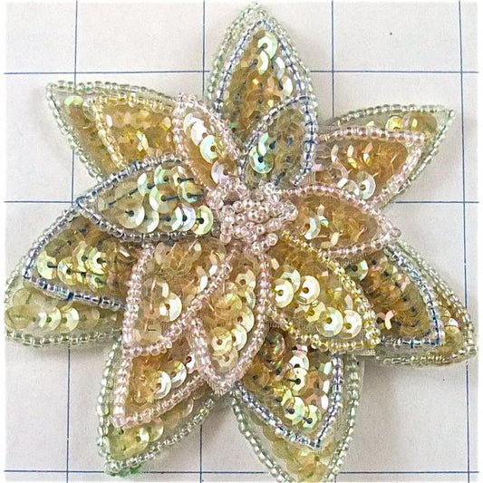 Flower with Multi-Layered Multi-Colored