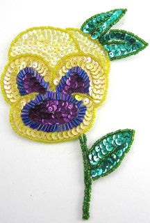 Flower Pansie with Yellow Purple Sequins 6