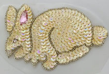 Load image into Gallery viewer, Bunny with Pink Jeweled Ear 5&quot; x 3&quot;