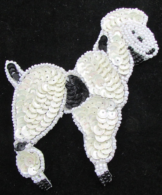 Poodle with White and Black Sequins and Beads 5" x 3'
