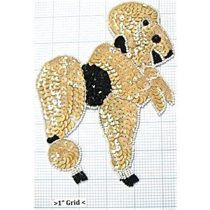 Poodle with Black Collar 6.5" x 5"