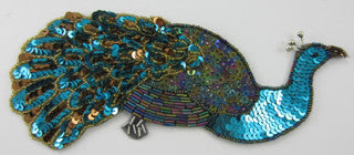 Peacock with Multi-Colored Turquoise 3.5
