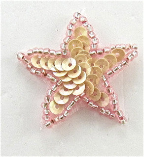 Star Pink Sequns and Dark Pink Beads 1.25"