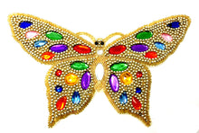 Load image into Gallery viewer, Butterfly with Gold Beaded Jewels 7&quot; x 11&quot;